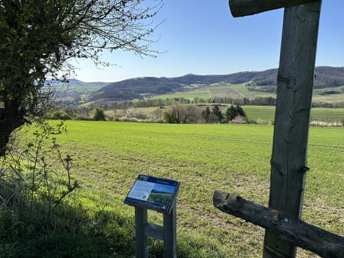 Streuobstwiesen Runde bei Golmbach