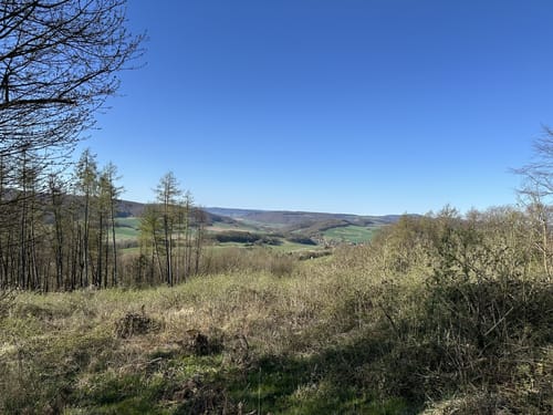 Streuobstwiesen Runde bei Golmbach