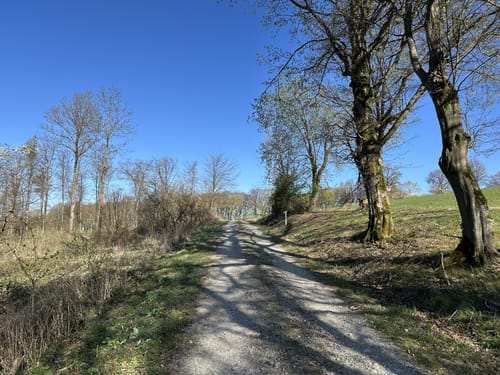Streuobstwiesen Runde bei Golmbach