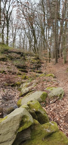 Homberg (Ohm) Runde