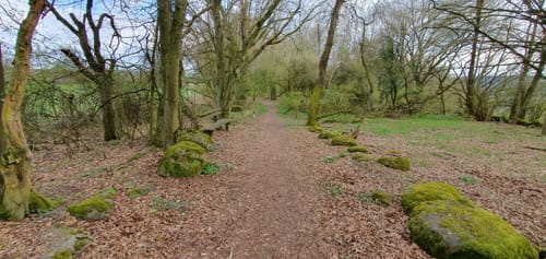 Homberg (Ohm) Runde