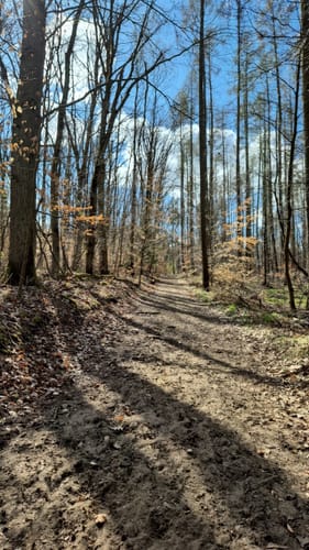 Seenrundweg Waldsieversdorf
