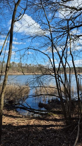 Seenrundweg Waldsieversdorf