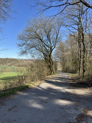 Rund um Trendelburg