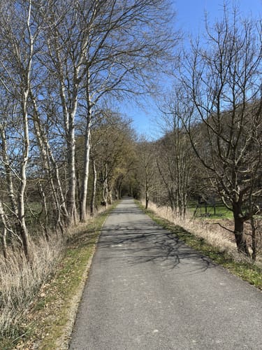 Rund um Trendelburg