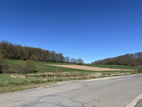 Rund um Trendelburg