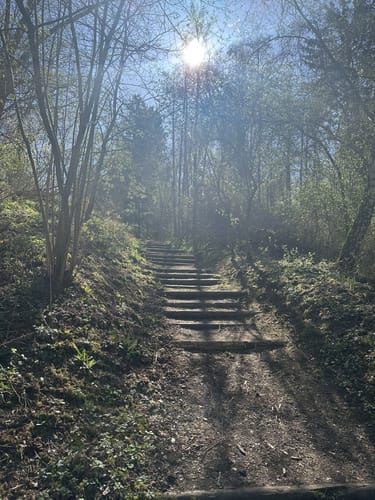 Streuobstwiesenweg (Traumpfad)
