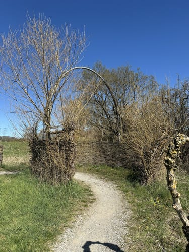 Streuobstwiesenweg (Traumpfad)