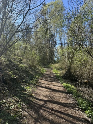 Streuobstwiesenweg (Traumpfad)
