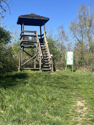 Um die Weilbacher Kiesgruben