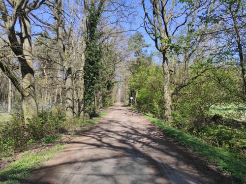 Malberg Rundwanderweg A5
