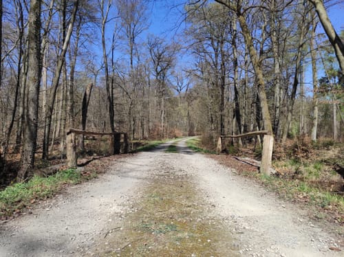 Malberg Rundwanderweg A5