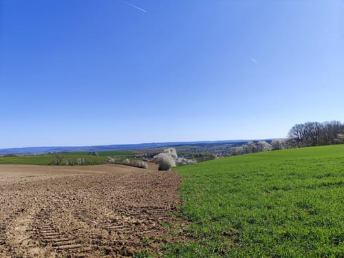 Klein Umstadt - Kleestadt