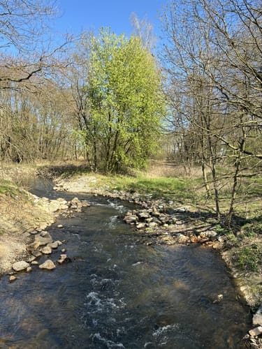 EmsRadweg Etappe 1: Hövelhof - Rheda-Wiedenbrück