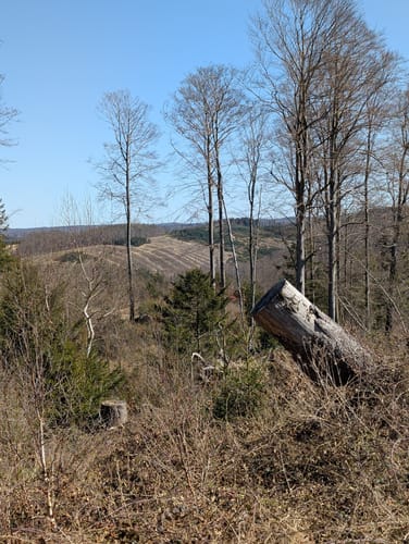 Rundwanderweg Büren-Harth