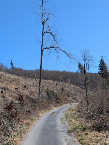Rundwanderweg Büren-Harth