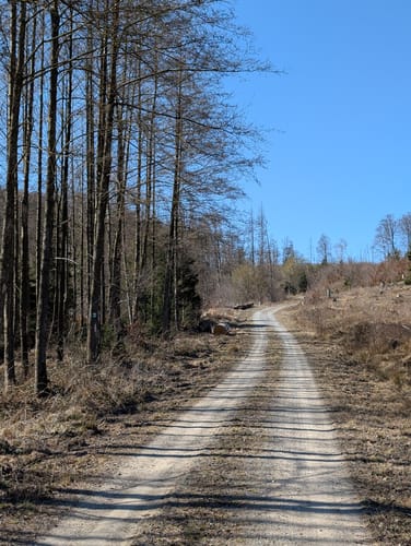 Rundwanderweg Büren-Harth