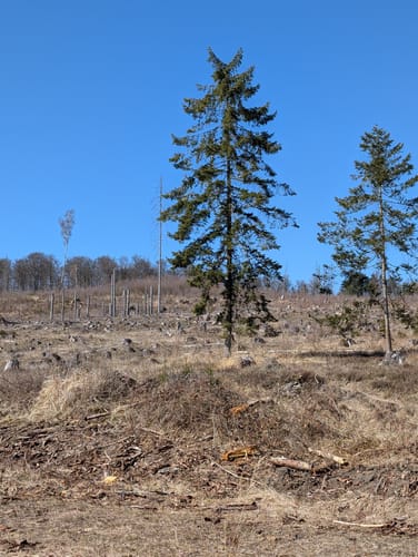Rundwanderweg Büren-Harth