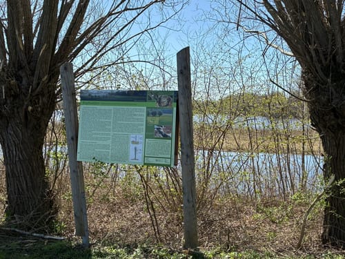 EmsRadweg Etappe 1: Hövelhof - Rheda-Wiedenbrück