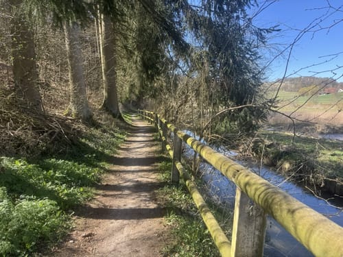 Bechthaler Weg
