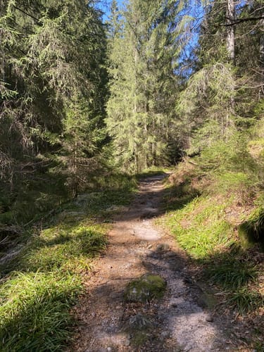 Höhenwanderung: Plankopf - Schliffkopf - Schweinkopf