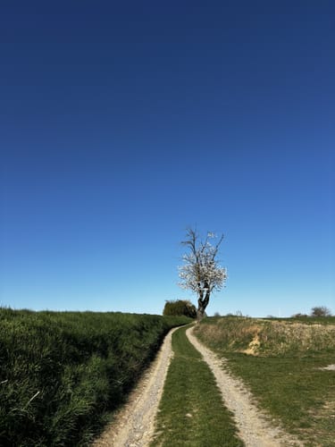Weinwanderung 'Ewig Leben'