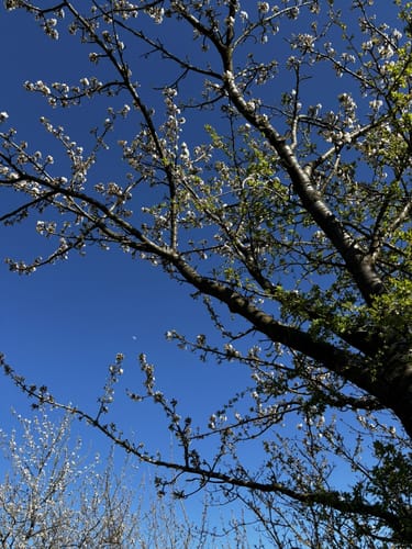Weinwanderung 'Ewig Leben'