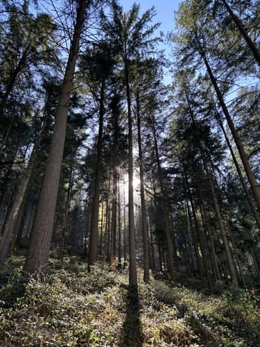 Eichelberg Rundweg