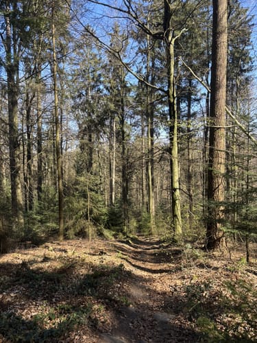 Eichelberg Rundweg