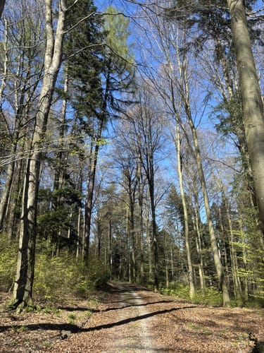 Eichelberg Rundweg