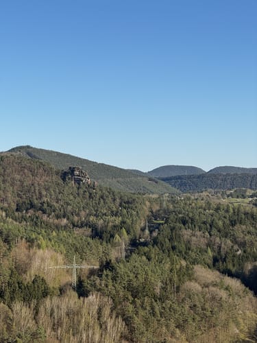 Wilgartswieser Biosphären-Pfad (Premiumwanderweg)