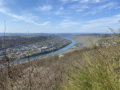 Moselsteig Etappe 11: Bernkastel-Kues - Ürzig