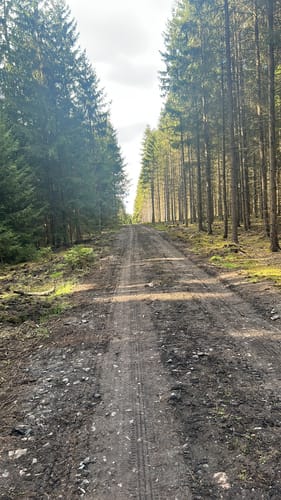 Wanderung in Leubnitz
