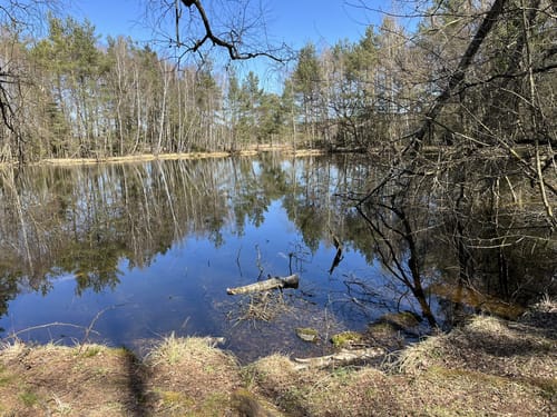 Rund um das Schwenninger Moos