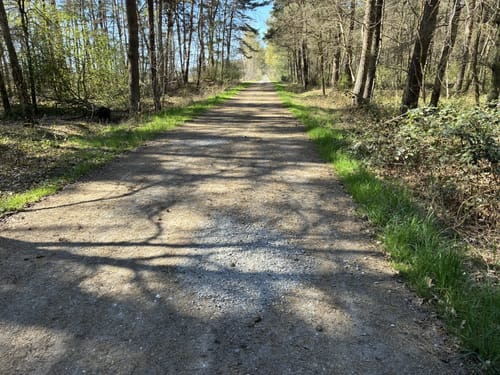 EmsRadweg Etappe 2: Rheda-Wiedenbrück - Telgte