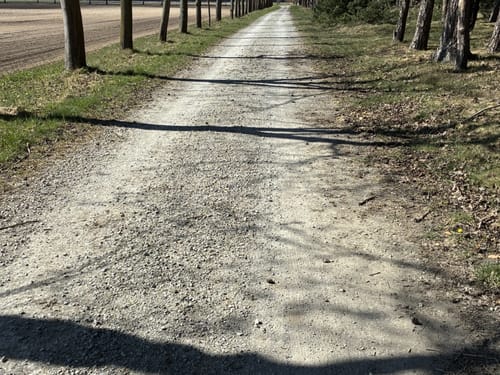 EmsRadweg Etappe 2: Rheda-Wiedenbrück - Telgte