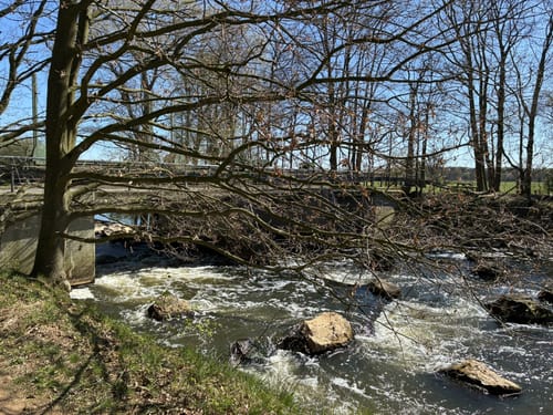 EmsRadweg Etappe 2: Rheda-Wiedenbrück - Telgte