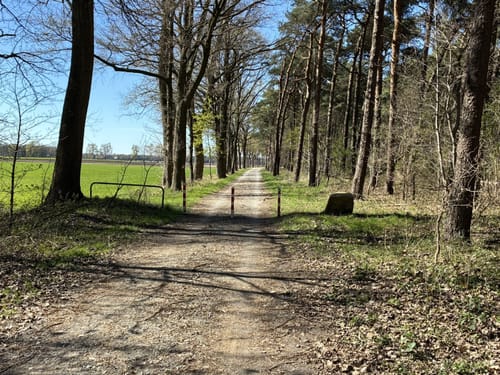 EmsRadweg Etappe 2: Rheda-Wiedenbrück - Telgte