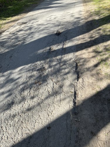 EmsRadweg Etappe 2: Rheda-Wiedenbrück - Telgte