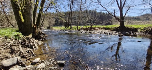 Themenwanderweg Lampaden -  Weg des Wassers