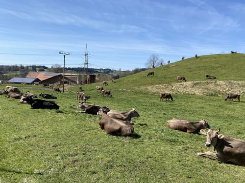 Wanderweg 16 Wangen im Allgäu