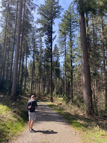 Wanderweg 16 Wangen im Allgäu