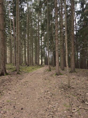 Eulenberg Rundweg