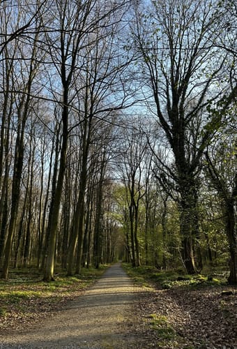Kurler Busch Runde