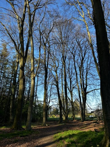 Kurler Busch Runde