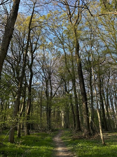 Kurler Busch Runde