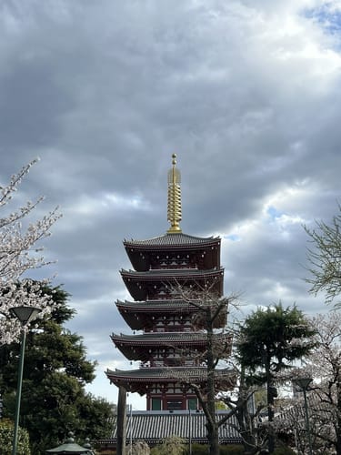 中国 絹本掛軸 高閣 街秋中堂 状態良好 中国 絹本掛軸 高閣 街秋中堂