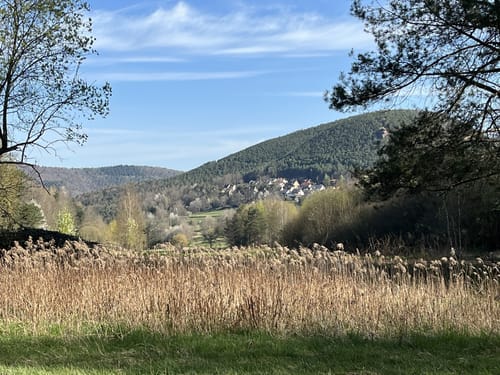 Wernersberg: Heimelstein - Wachtfels - Runder Hut - Geierstein