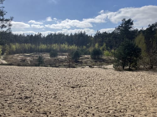 NS-Wandeling: Lange Duinen Amersfoort - Hollandsche Rading