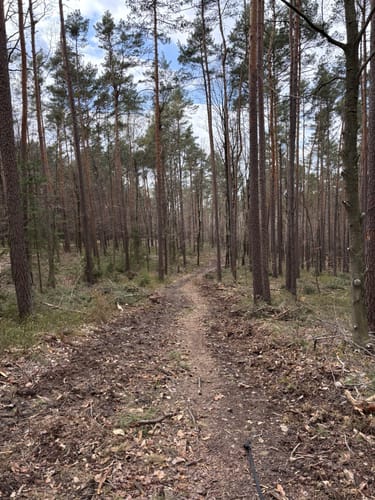 Bubenreuth - Märchenweiher – Tongrube Marloffstein